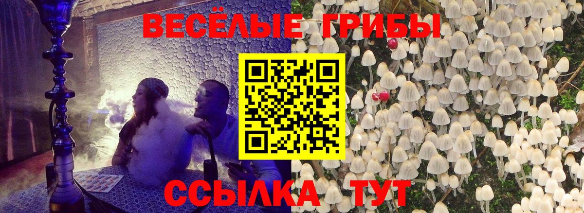 Полевской  Галлюциногенные грибы MAGIC MUSHROOMS  Вход с VPN  Галлюциногенные грибы Psilocybe 